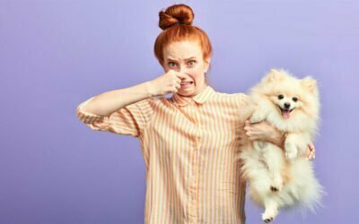 Frau mit roten Haaren und gestreiftem Hemd hält Hund auf dem Arm und hält sich die Nase zu